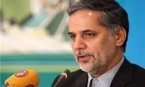 نقوی حسینی: نیروی ویژه ضدتروریستی در مجلس تشکیل می‎شود