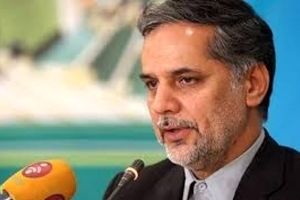 نقوی حسینی: نیروی ویژه ضدتروریستی در مجلس تشکیل می‎شود