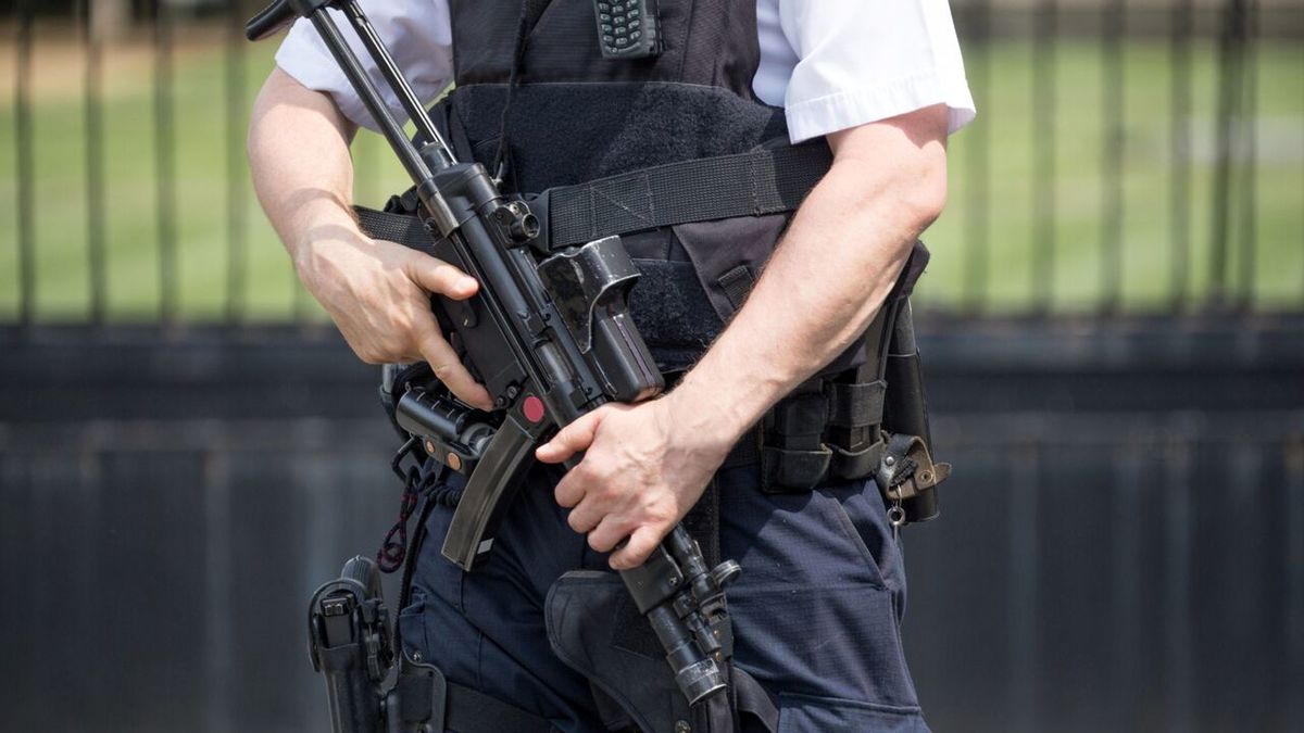 سطح هشدار امنیتی انگلیس در پی حمله تروریستی وین بالا رفت
