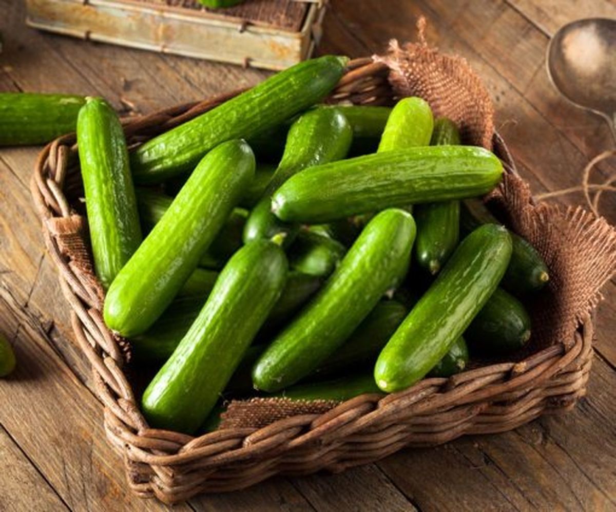 چند خاصیت خیار برای سلامتی