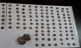 متهم فراری با سکه های تاریخی دستگیر شد