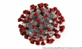 تحقیقات جدید نشان می‌دهند: مصونیت از کرونا پس از بهبود طولانی نیست