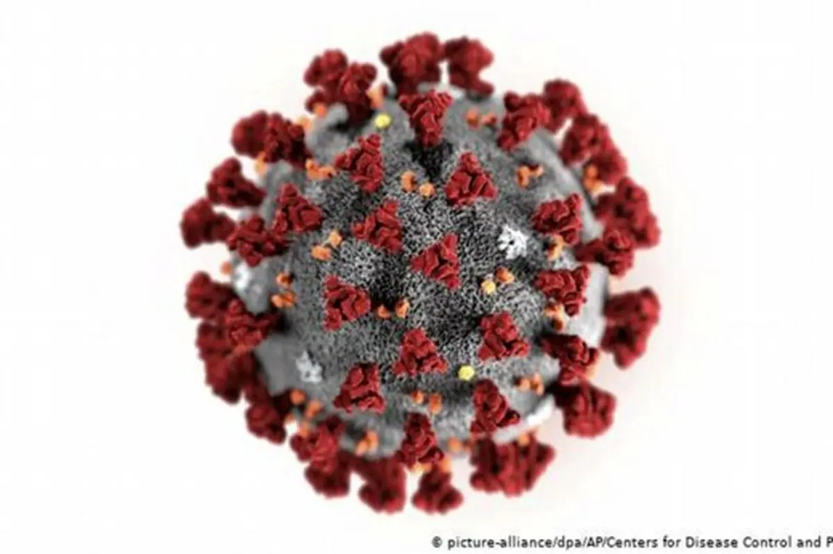 تحقیقات جدید نشان می‌دهند: مصونیت از کرونا پس از بهبود طولانی نیست