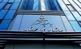 آغاز به کار سازمان ملی جوانان با دولت دوازدهم /ادغام ورزش و جوانان مانند ترکیب آب و روغن بود