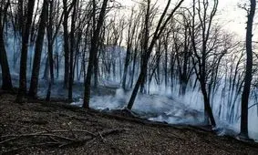 تصاویری از اطفای حریق در جنگل‌های گلستان