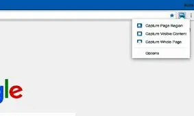 افزوده شدن امکان اسکرین شات جدید به گوگل کروم