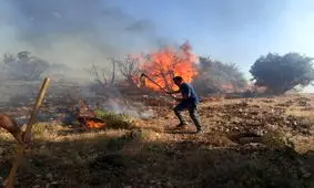 آتش سوزی در کوه های فیروزآباد فارس