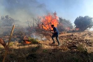 آتش سوزی در کوه های فیروزآباد فارس