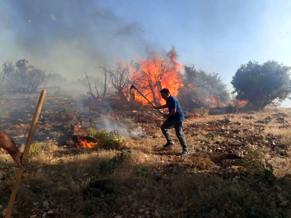 آتش سوزی در کوه های فیروزآباد فارس
