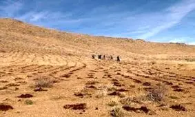 آغاز عملیات اجرایی کپه کاری در سطح ۱۵۰ هکتار از مراتع شهرستان دامغان