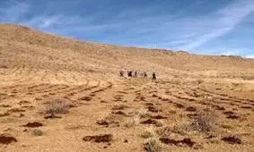 آغاز عملیات اجرایی کپه کاری در سطح ۱۵۰ هکتار از مراتع شهرستان دامغان
