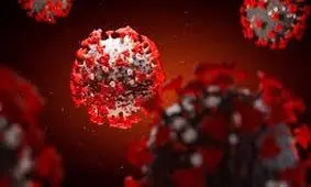 عکاس بسیجی ایلام در اثر ابتلا به کرونا درگذشت