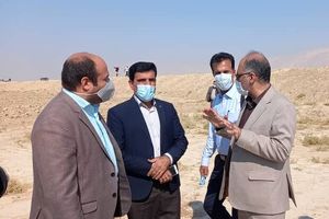 کشت گندم در بیش از ۹۷ هزار هکتار از اراضی استان بوشهر