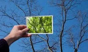 آیا خوش‌بینی همیشه به نفع ماست؟ با 5 پیامد منفی خوش‌بینی آشنا شوید