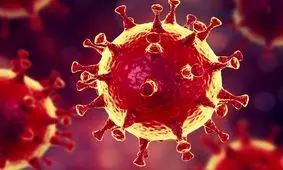 مدیرکل فرهنگ و ارشاد اسلامی هرمزگان به کرونا مبتلا شد