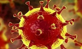 فوت ۲۴ بیمار کرونایی در ۴۸ ساعت گذشته در لرستان