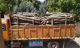 توقیف محموله چوب قاچاق در گتوند