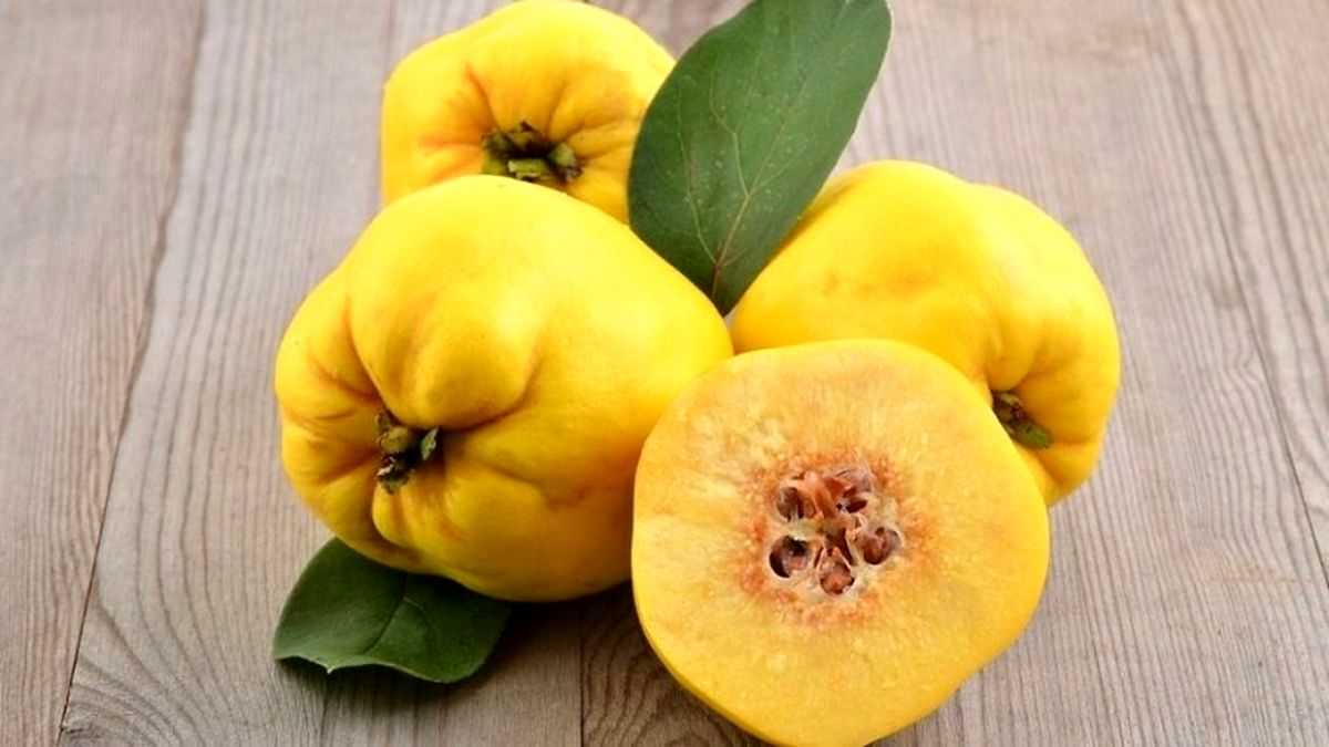 خواص شگفتانگیز به