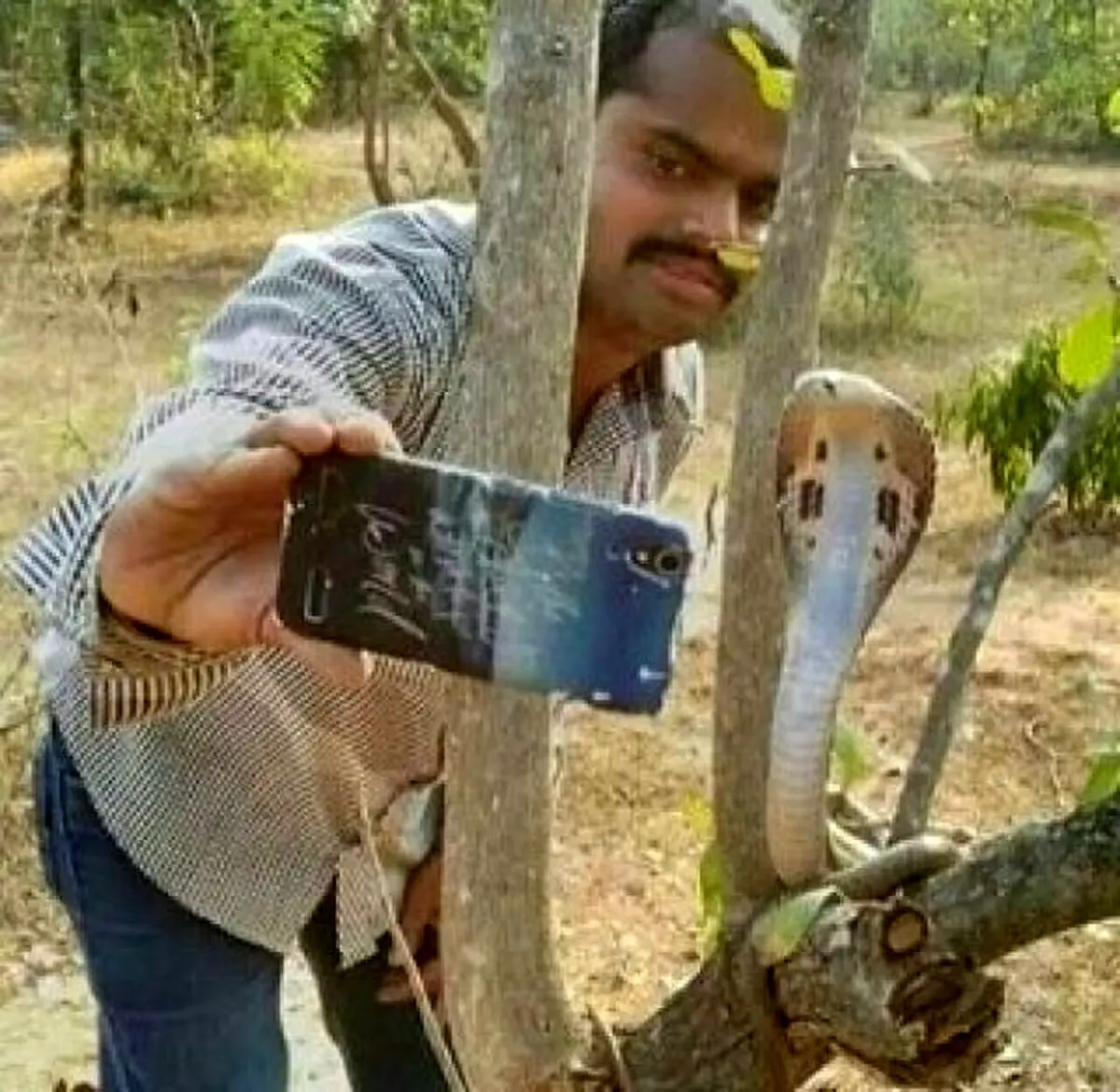 سلفی با مار