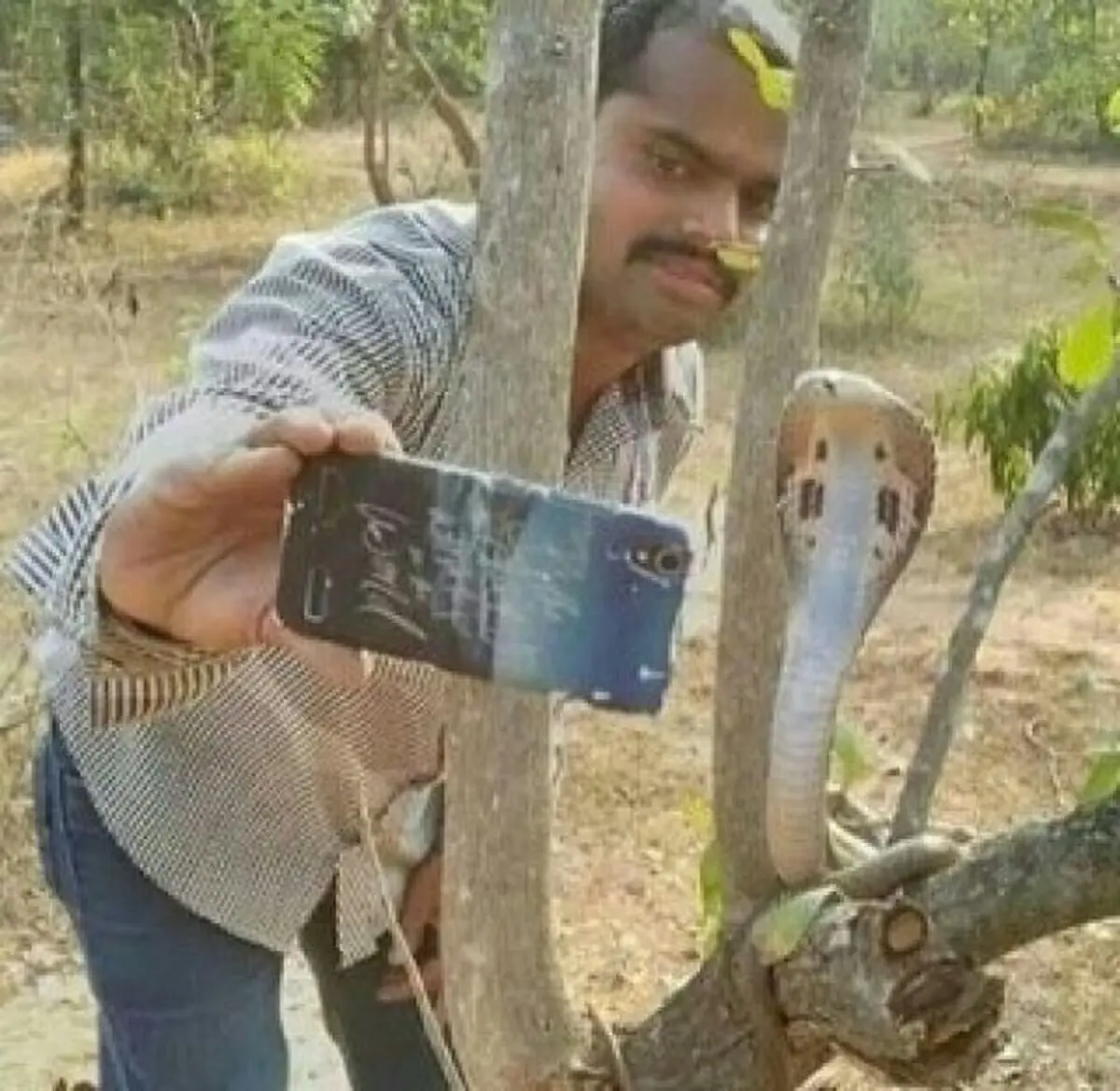 سلفی با مار