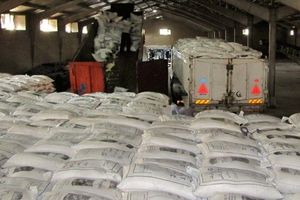 ترخیص۵۷۰۰ تن برنج وارداتی از گمرک قشم آغاز شد