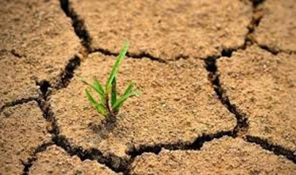 خاک در ایران چگونه از دست می‌رود؟