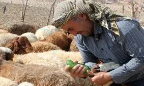 عشایر شهربابک، در برابر کرونا متعهدتر از همیشه