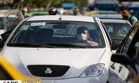 قیمت انواع رانا در بازار