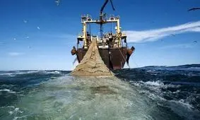 مجوز صید آبهای دور به بومیان در قالب تعاونی ها واگذار شود