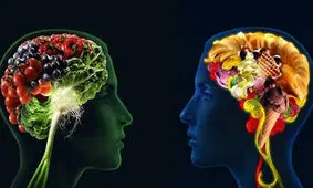 تست شخصیت شناسی با غذا‌های مورد علاقه