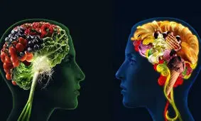 تست شخصیت شناسی با غذا‌های مورد علاقه