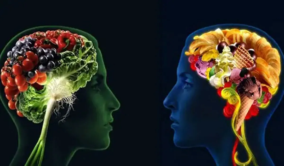 تست شخصیت شناسی با غذا‌های مورد علاقه