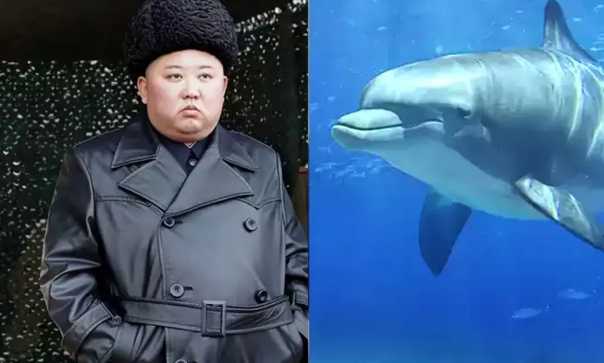 آموزش دلفین در کره شمالی برای حمله به غواصان دشمن و خنثی کردن مین‌های دریایی