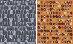 تست دقت و توجه؛ چند معمای تصویری مخصوص ریزبین‌ها