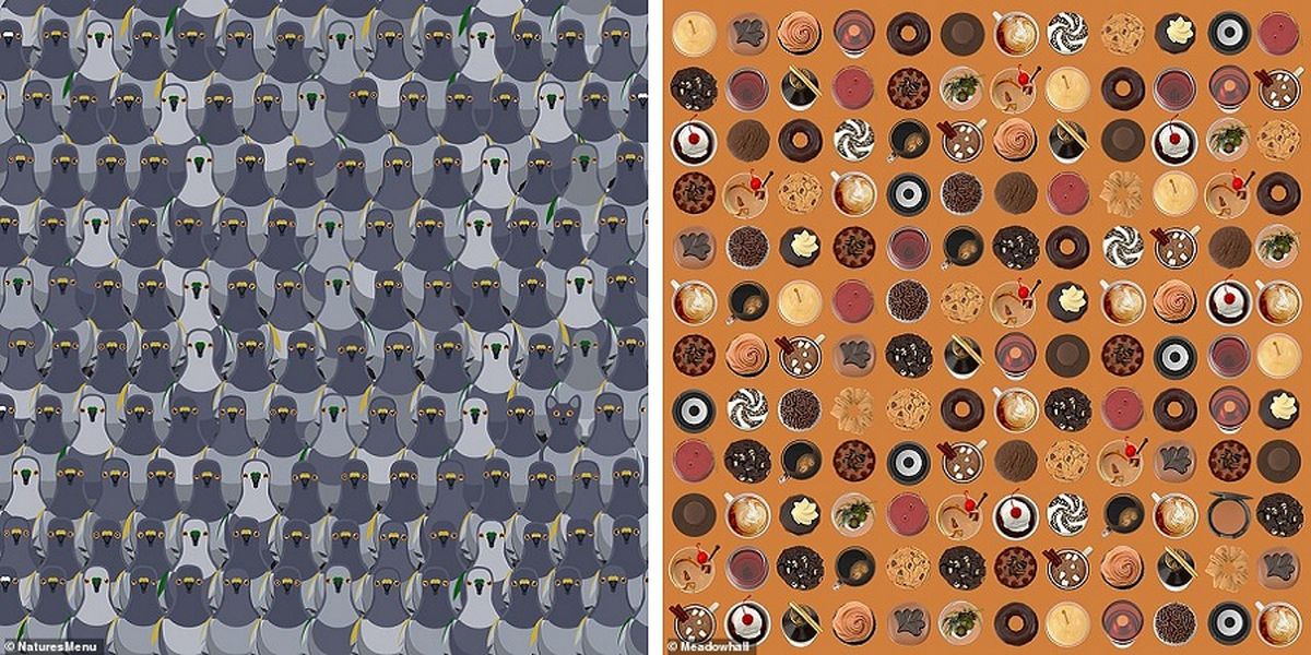 تست دقت و توجه؛ چند معمای تصویری مخصوص ریزبینها