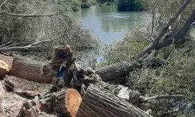 قطع درختان حاشیه رودخانه‌های لرستان ممنوع است