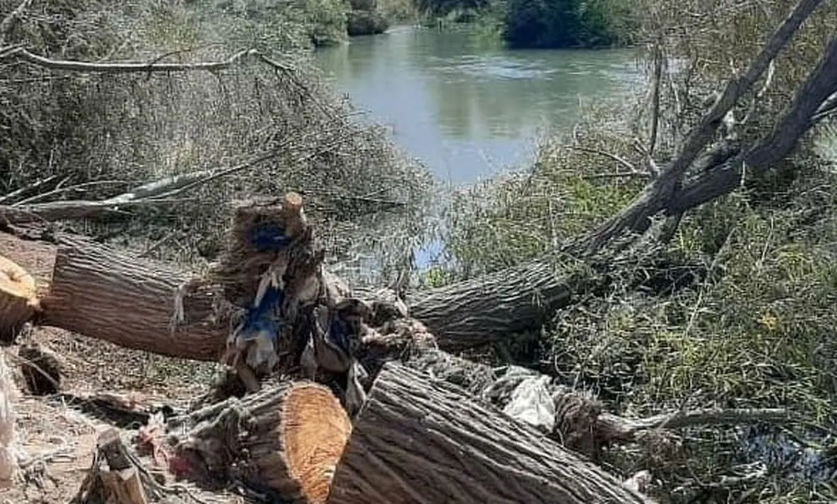 قطع درختان حاشیه رودخانه‌های لرستان ممنوع است