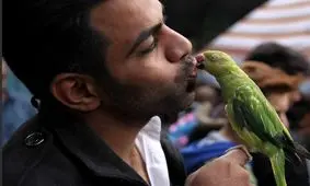 جمعه بازار پرندگان در بغداد/ عکس