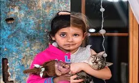 این کجا و آن کجا!