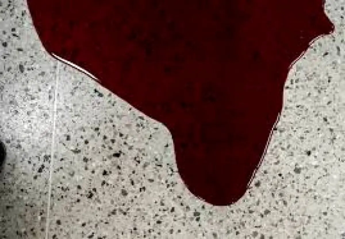 اعترافات مردی که دخترش را جلوی چشم مردم خفه کرد و جنازه را تحویل پلیس داد