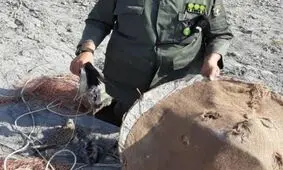 شکارچیانی با طمع میلیارد تومانی در آذربایجان‌غربی