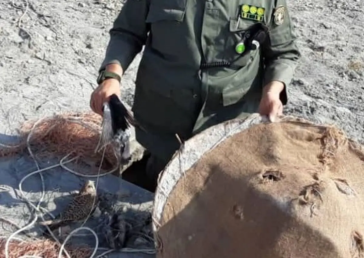 شکارچیانی با طمع میلیارد تومانی در آذربایجان‌غربی