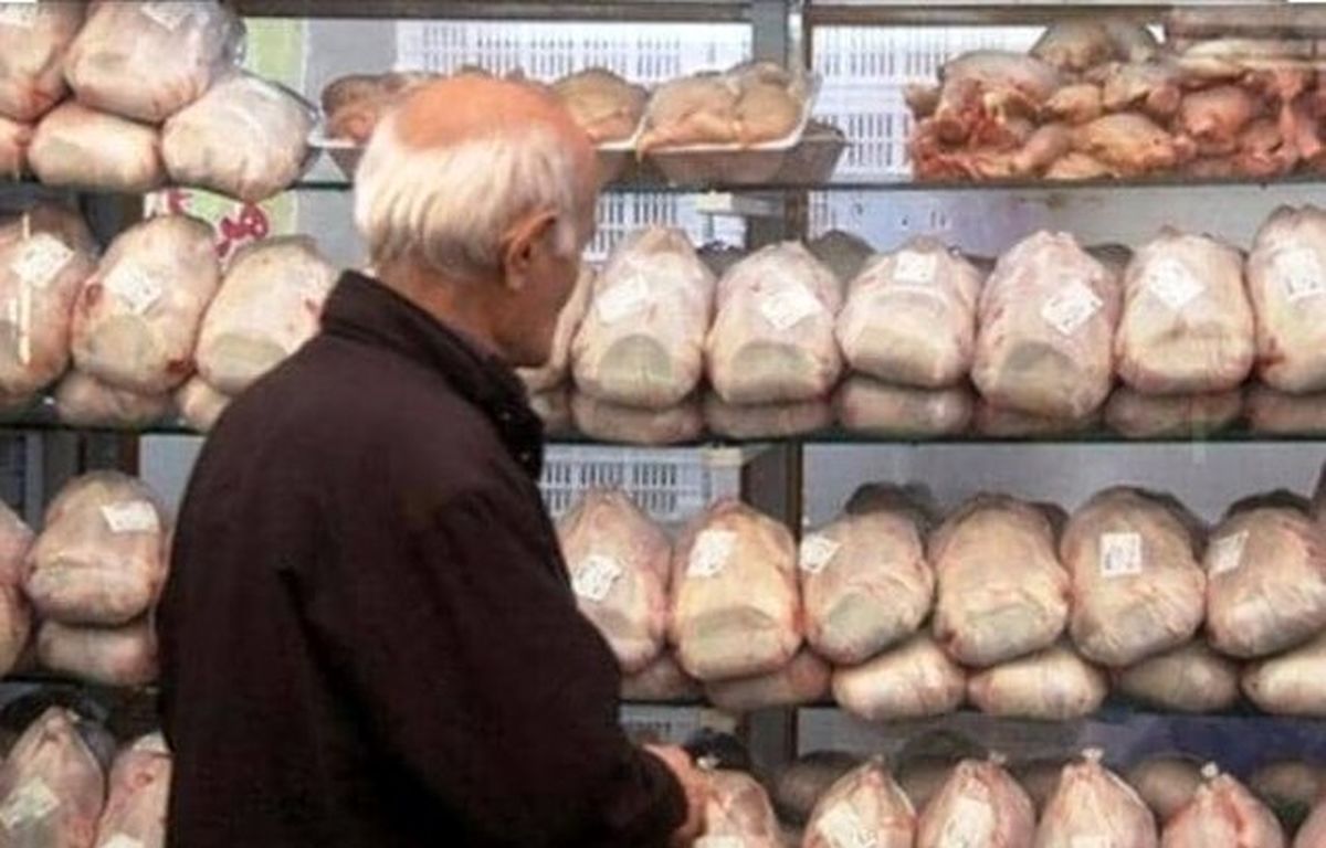 عرضه‌ی ۸۰۰ تن مرغ منجمد به بازار آذربایجان شرقی طی ۱۰ روز آینده
