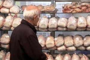 عرضه‌ی ۸۰۰ تن مرغ منجمد به بازار آذربایجان شرقی طی ۱۰ روز آینده