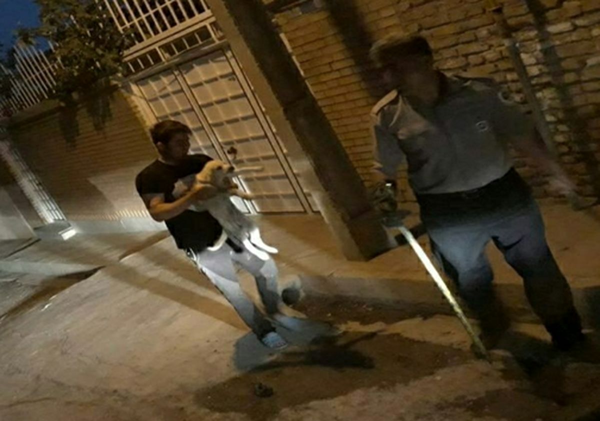 رهاسازی توله سگهای گرفتار در چاه در مهباد