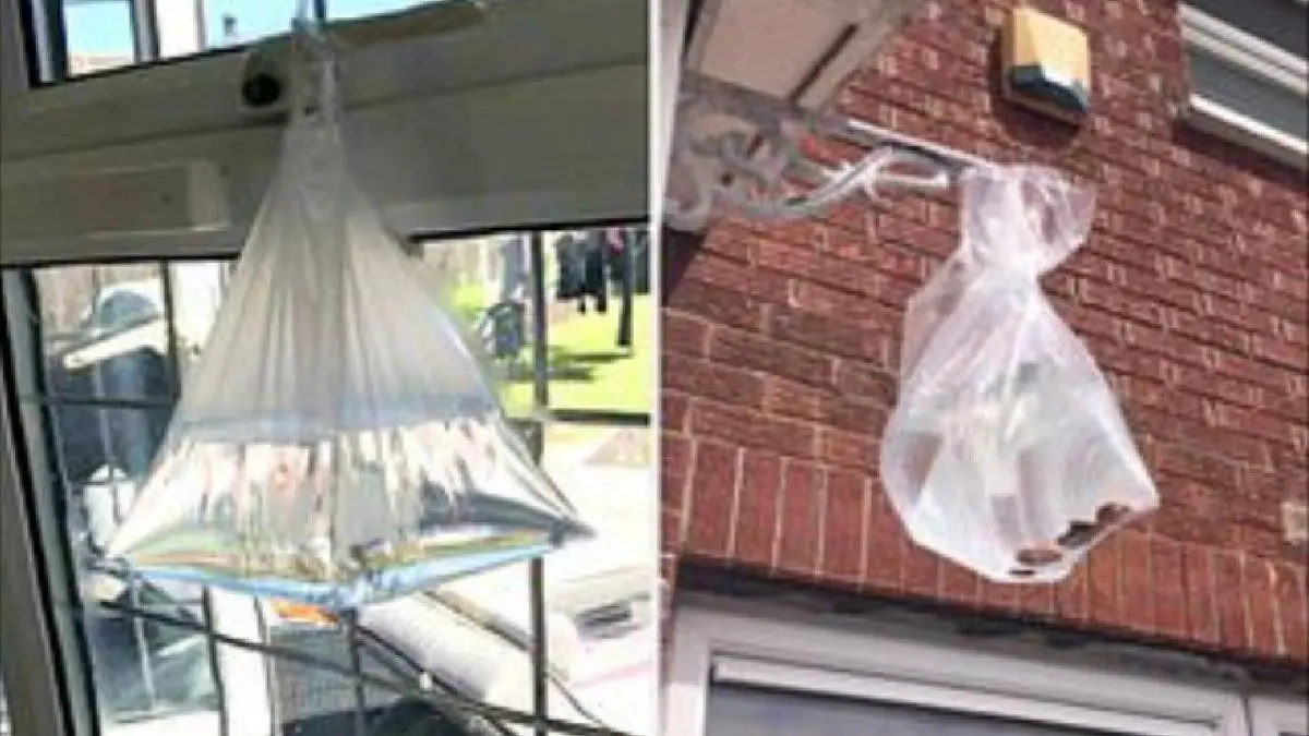 ترفندی جالب برای جلوگیری از ورود مگس‌‎ها به خانه