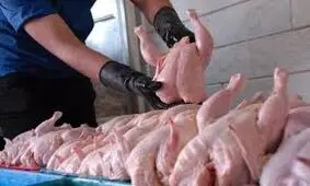 وقتی قیمت مرغ، ابزار سنجش کارآمدی دولت می‌شود