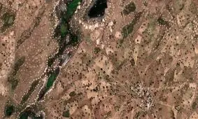 کشف درخت در نواحی بیابانی با کمک هوش مصنوعی