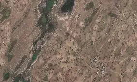 کشف درخت در نواحی بیابانی با کمک هوش مصنوعی