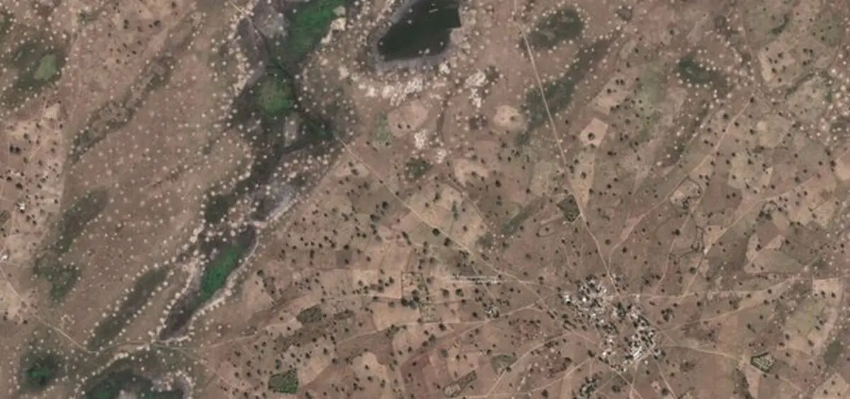 کشف درخت در نواحی بیابانی با کمک هوش مصنوعی